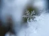 雪 aaron-burden-5AiWn2U10cw-unsplash