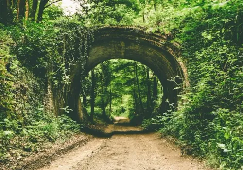 path jamie-street-EShuzrworjI-unsplash